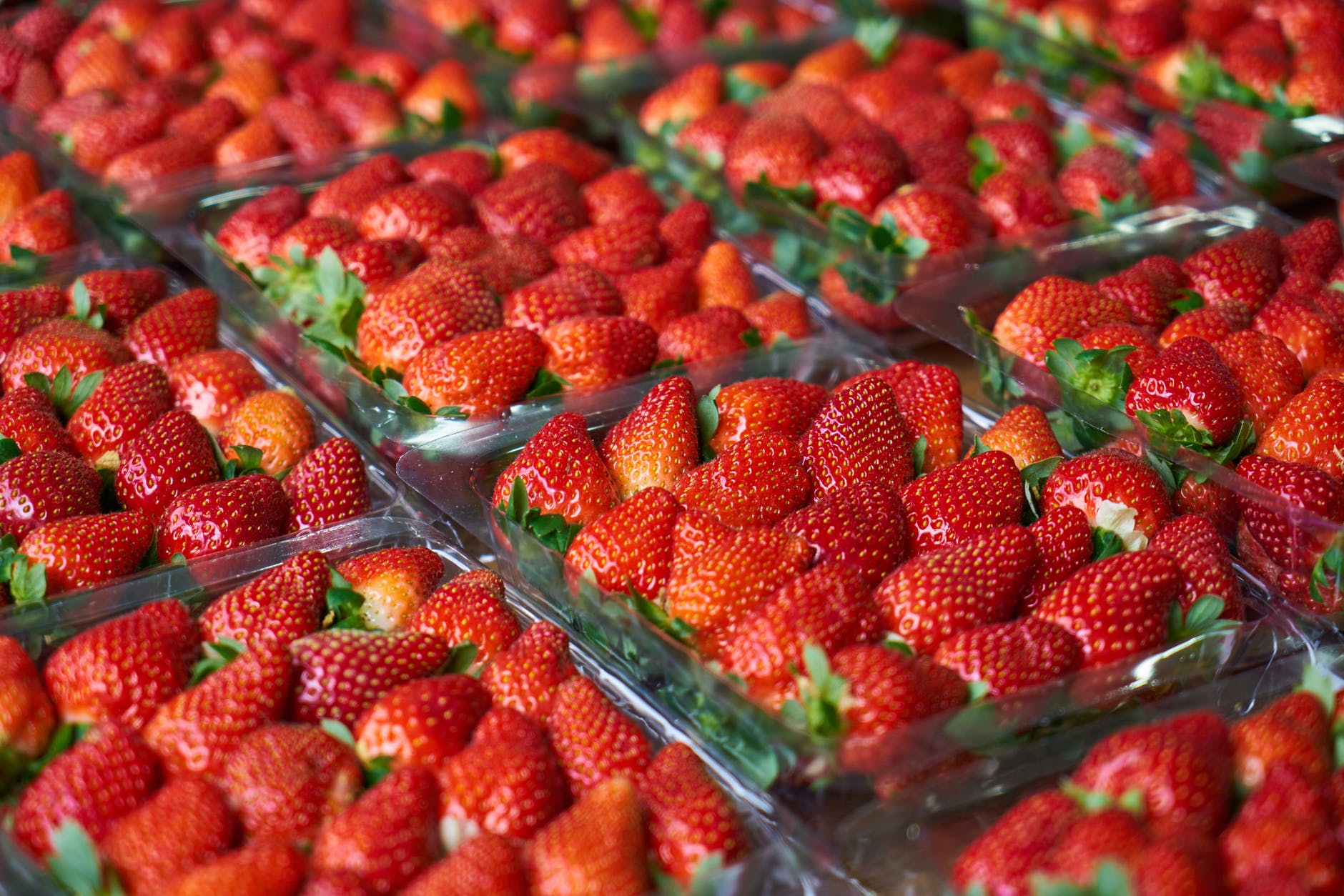close up photo of strawberries on plastic container
