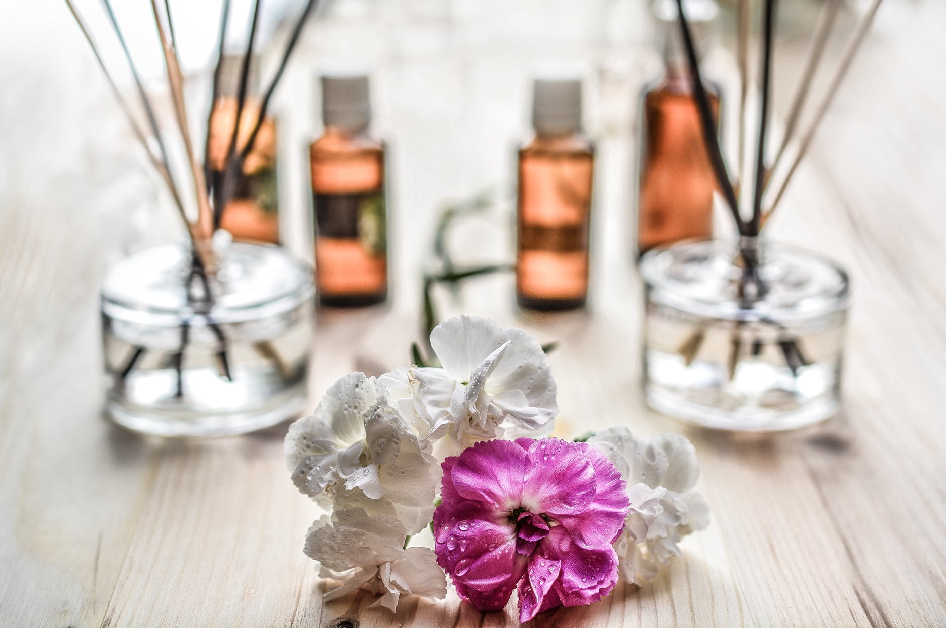 white and purple flower plant on brown wooden surface