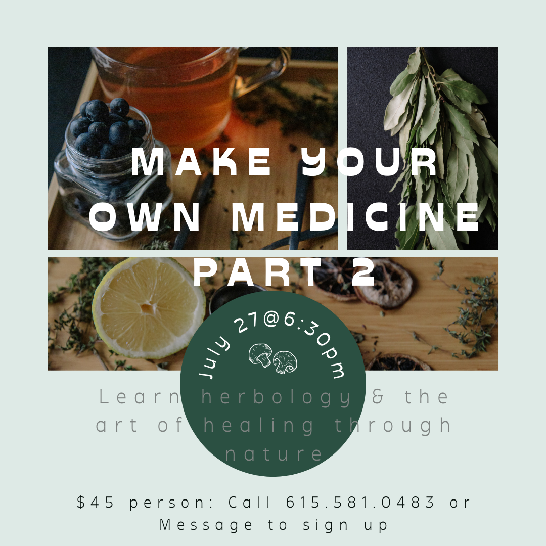 Make Your Own Medicine Well Nourished Home